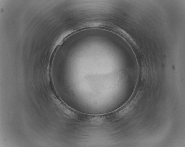 X0000075891178200609151338
