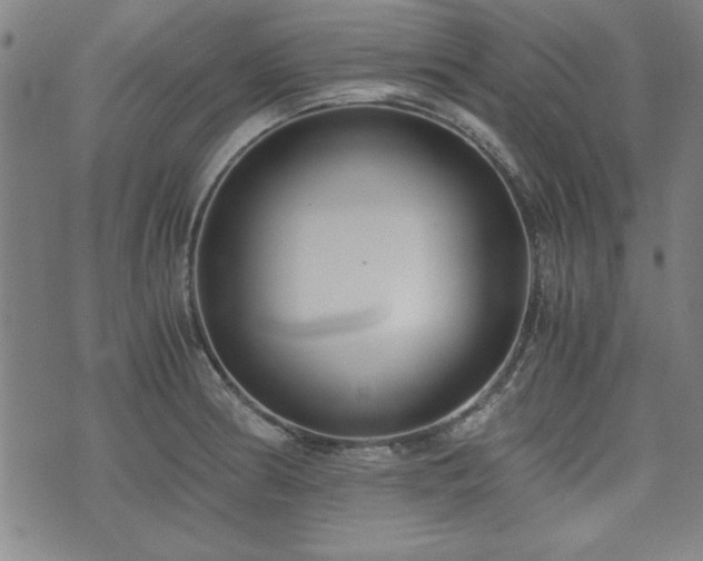 X0000075891186200609151338