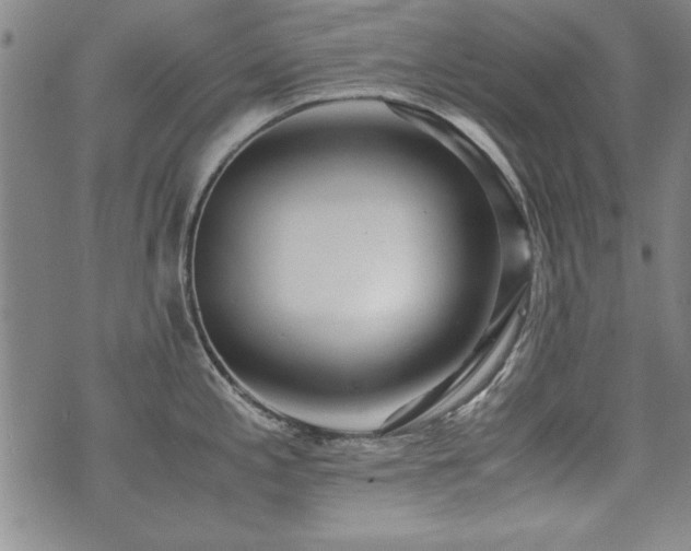 X0000075891197200609151338