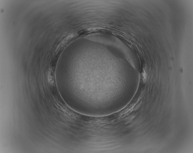 X0000075891202200609151337