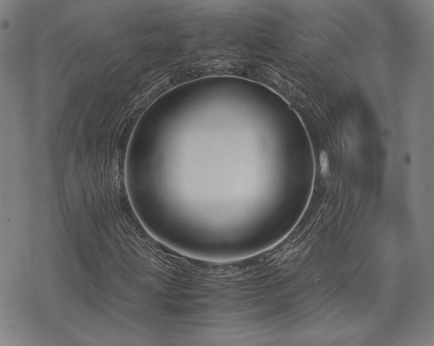 X0000075891203200609151337