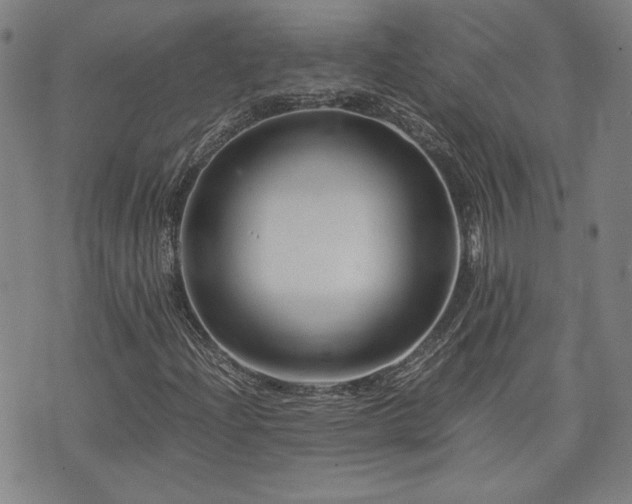 X0000075891204200609151337