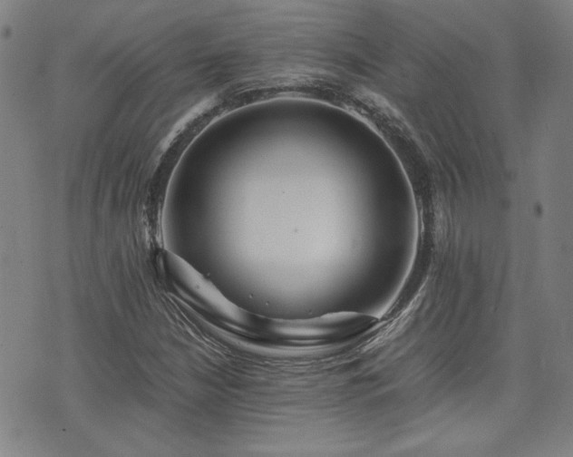 X0000075891210200609151337