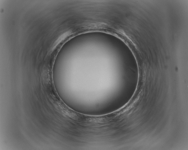 X0000075891211200609151337