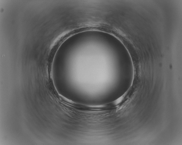 X0000075891214200609151337
