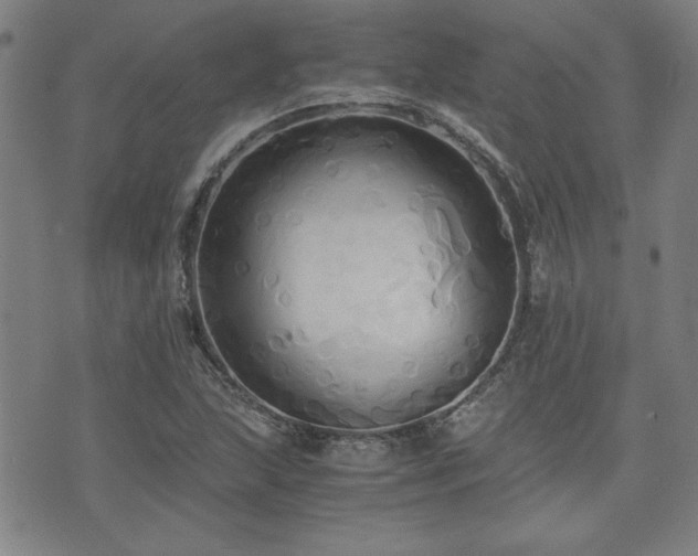 X0000075891215200609151337
