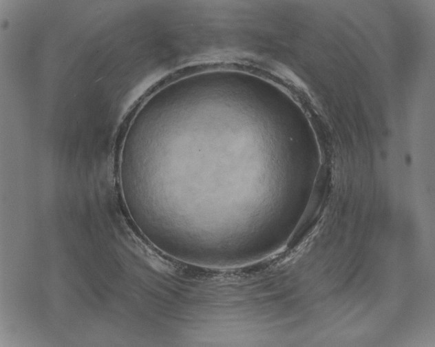 X0000075891216200609151337