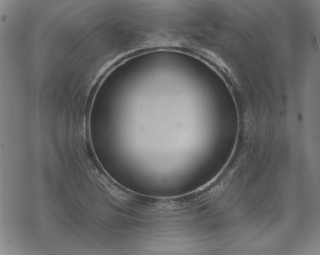 X0000075891220200609151337
