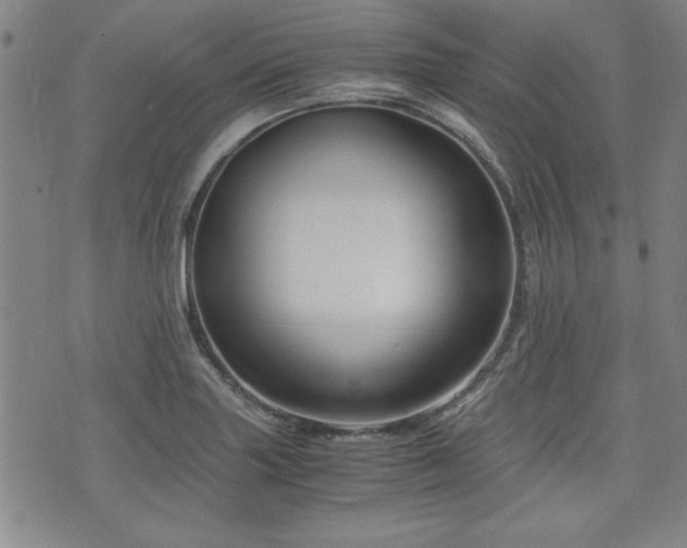 X0000075891227200609151338