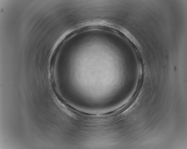 X0000075891232200609151338