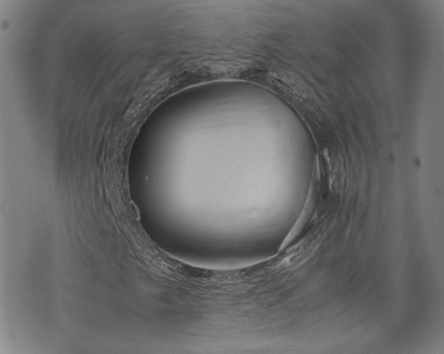 X0000075891249200609151337
