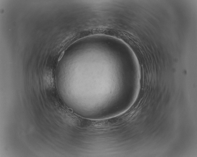X0000075891252200609151337