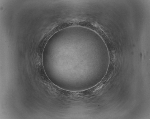X0000075891253200609151337