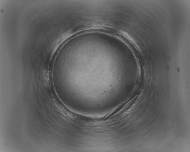 X0000075891260200609151337