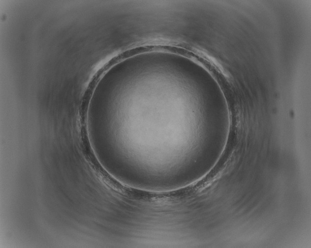 X0000075891264200609151337