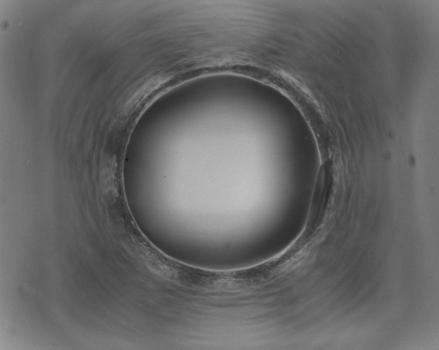 X0000075891265200609151337