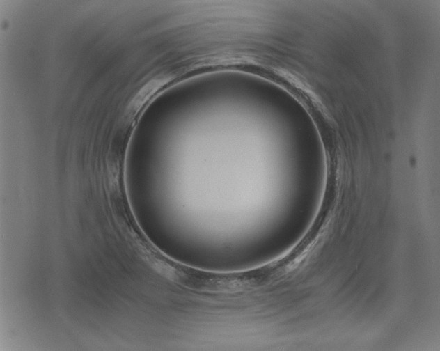 X0000075891273200609151337