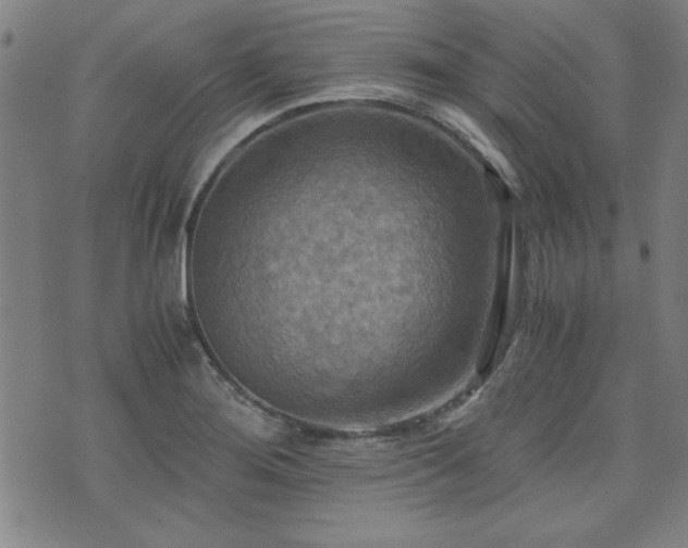 X0000075891276200609151337