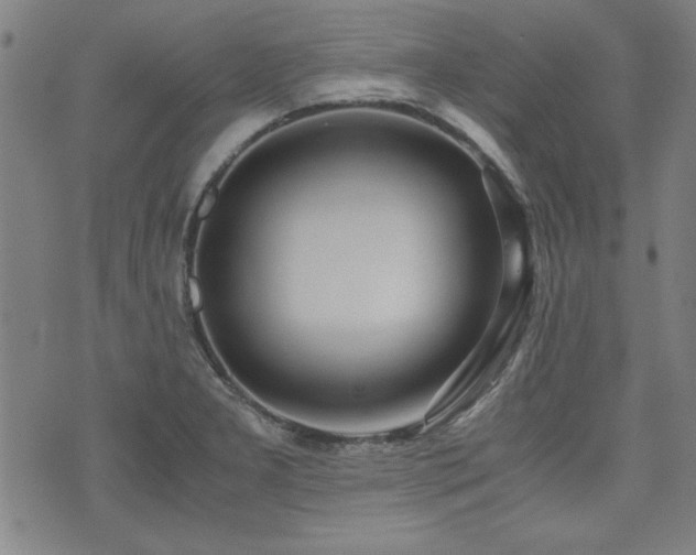 X0000075891277200609151337