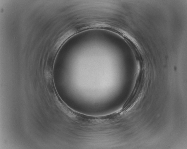 X0000075891281200609151337