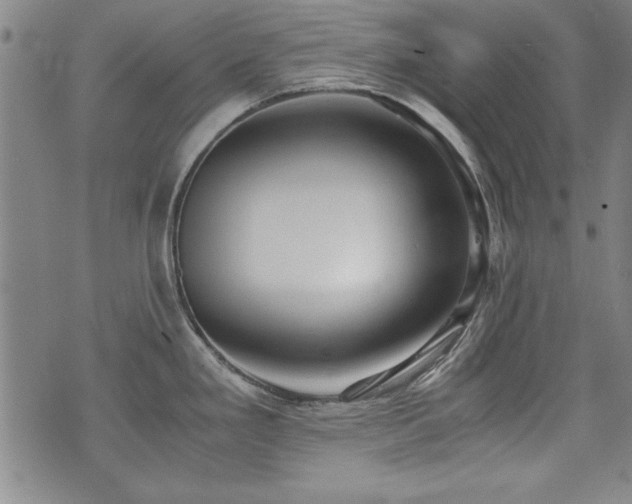 X0000075891293200609151336