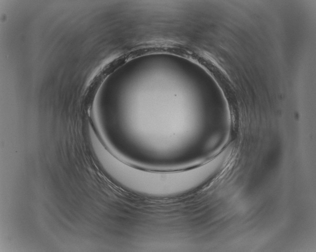 X0000075891307200609151336