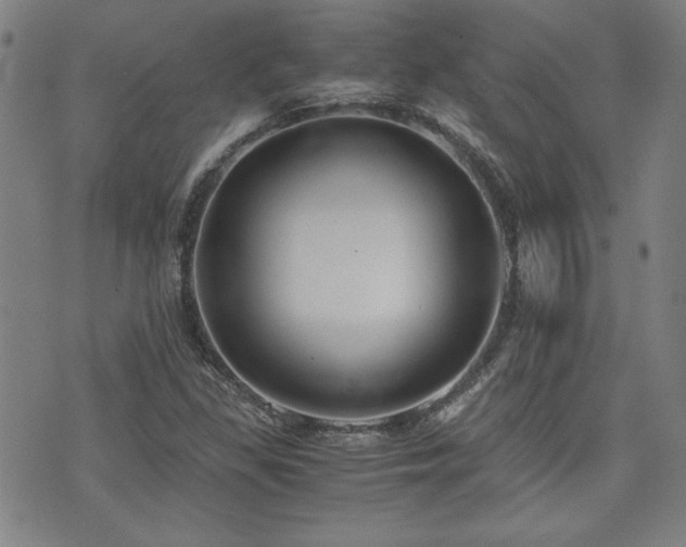 X0000075891309200609151336