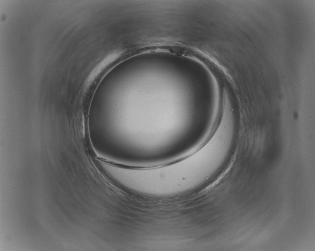X0000075891317200609151336