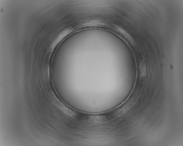 X0000075891322200609151336