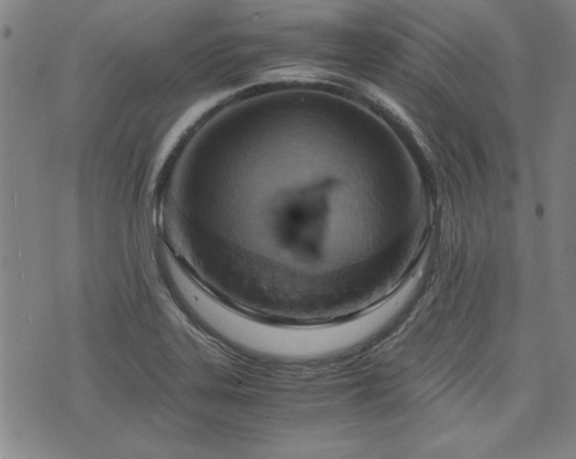 X0000075891323200609151336
