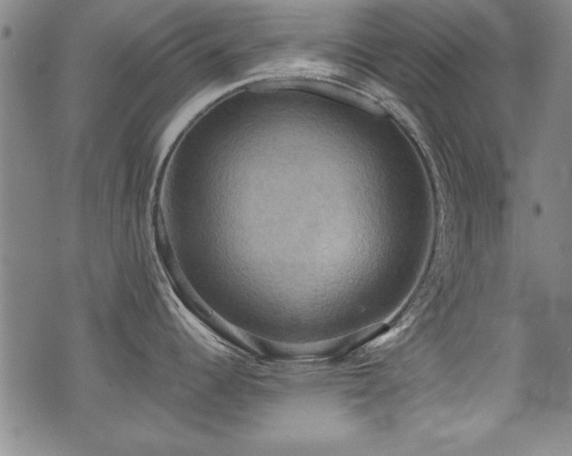 X0000075891344200609151336