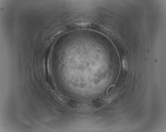 X0000075891347200609151336