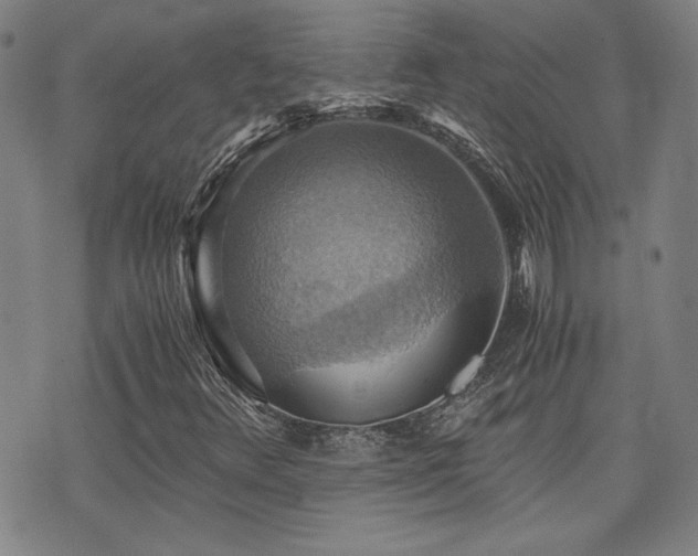 X0000075891348200609151336