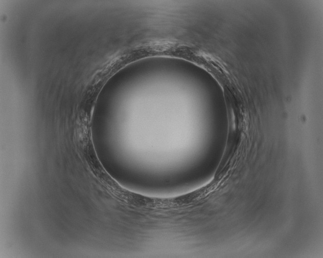 X0000075891349200609151336