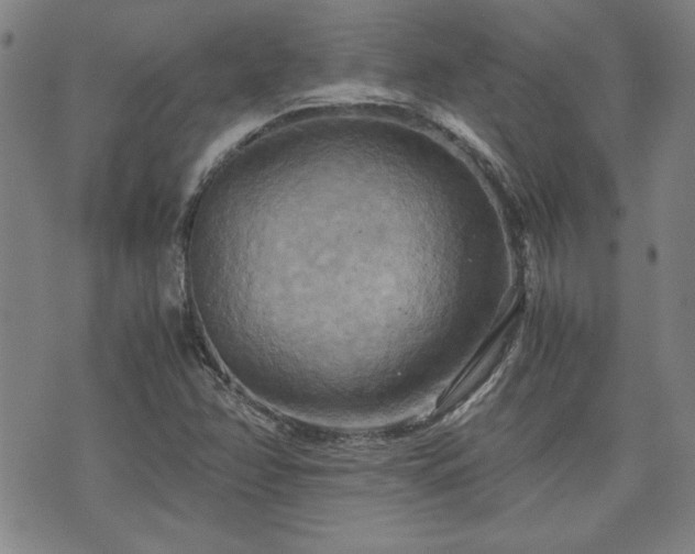 X0000075891358200609151335