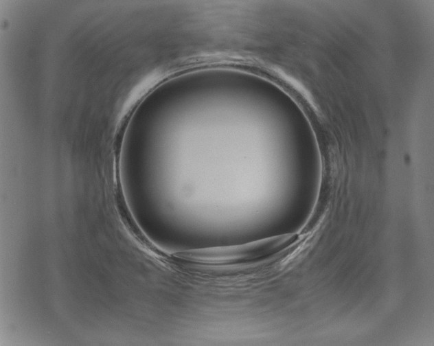 X0000075891365200609151335