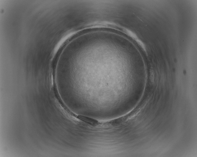 X0000075891368200609151335