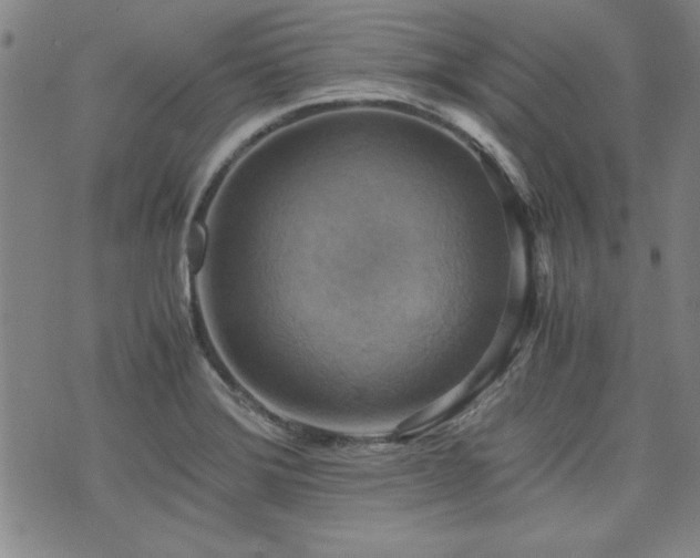 X0000075891372200609151335