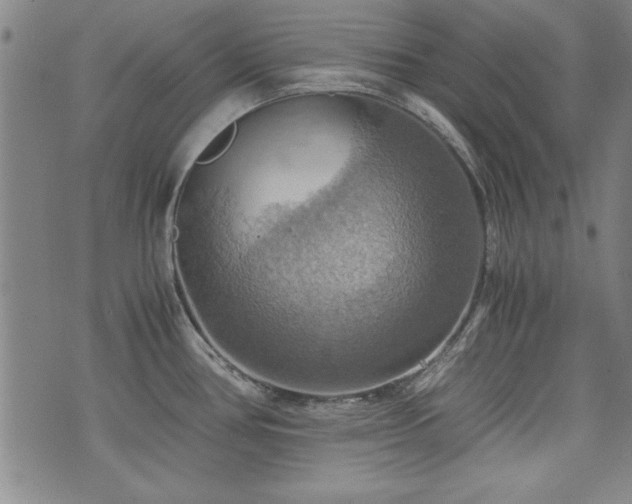 X0000075891386200609151335