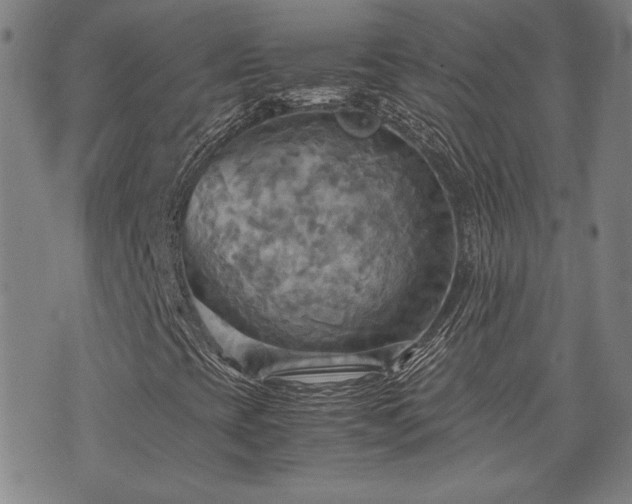 X0000075891393200609151334
