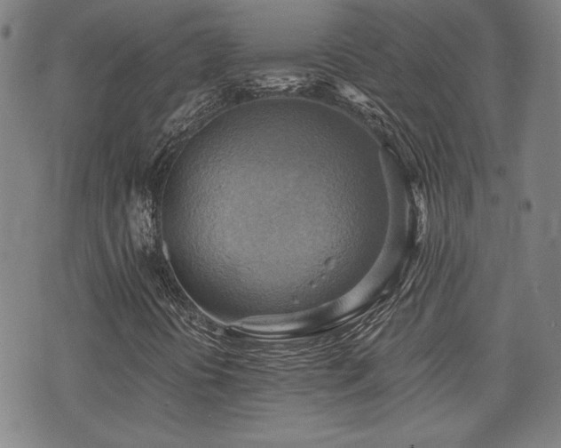 X0000075891394200609151334