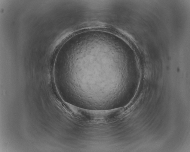 X0000075891407200609151334