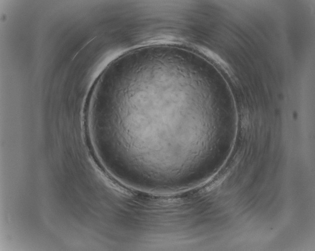 X0000075891423200609151335
