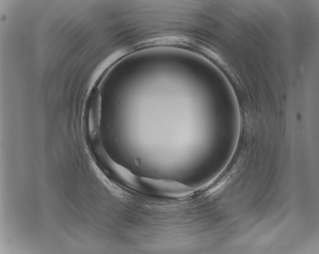X0000075891426200609151335