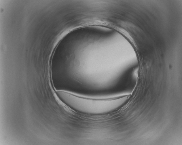X0000075891439200609151335