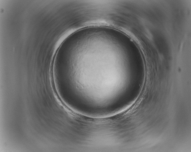 X0000075891440200609151335