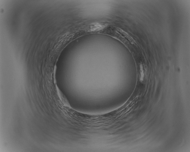 X0000075891441200609151334
