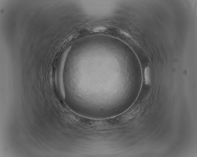 X0000075891443200609151334