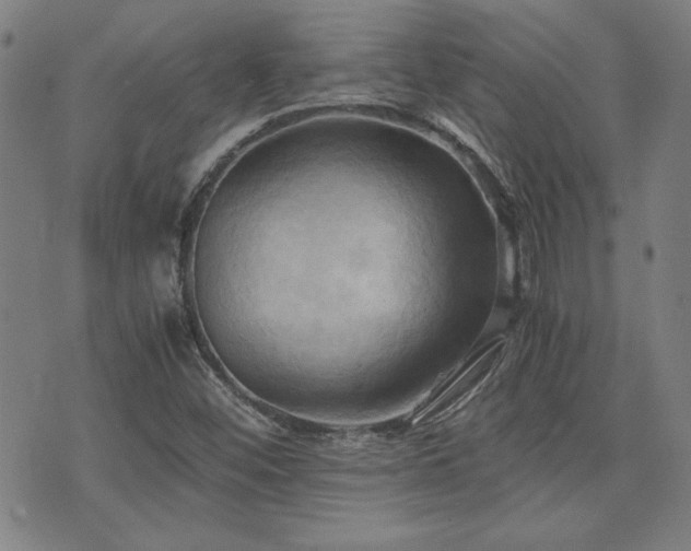 X0000075891452200609151334
