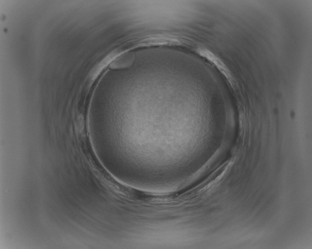 X0000075891465200609151334